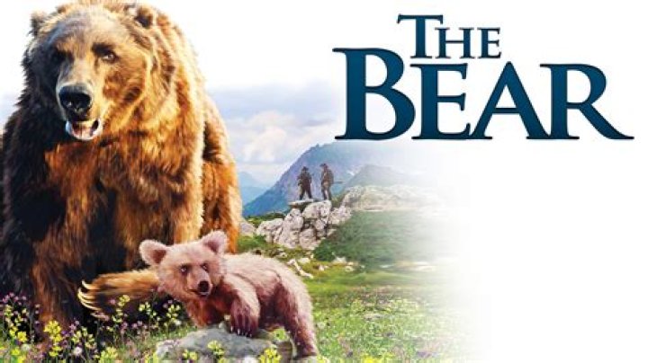 10 Bear Movies Where the Bear Was Right