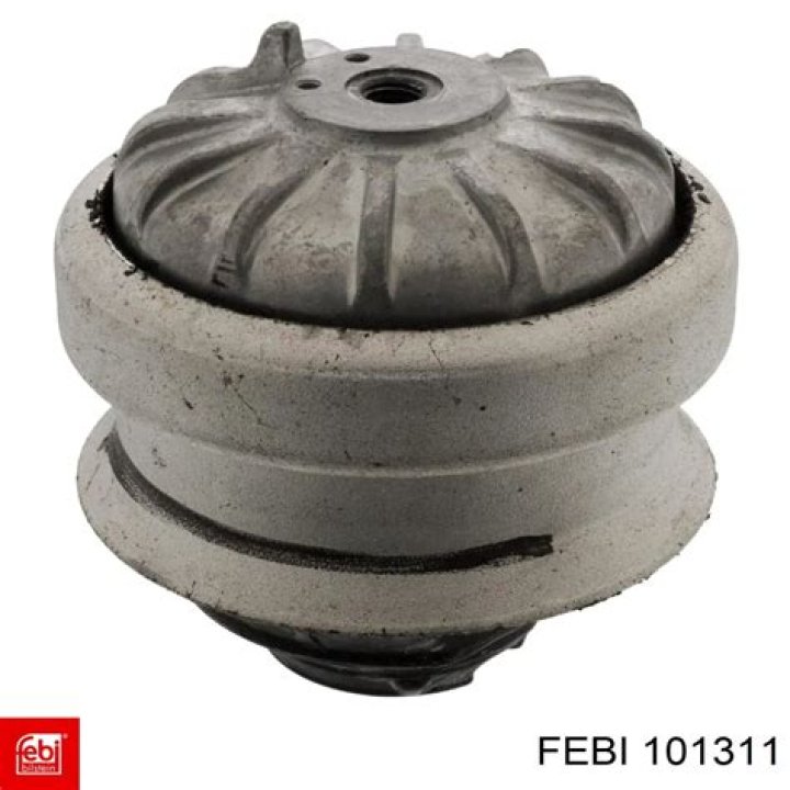 تستعين دودة الارض في حركتها ب علوم اول متوسط