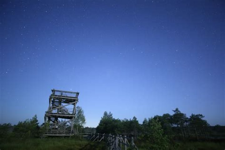 صفات الصورة التي يشاهدها الباحث عند استخدام مجهر