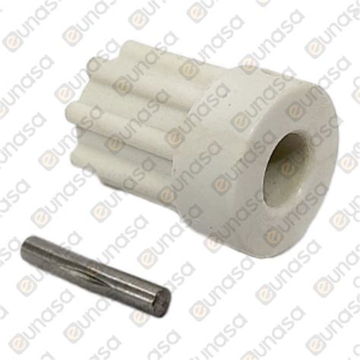 Live Cricket Score, east west africa cup qualifiers Match