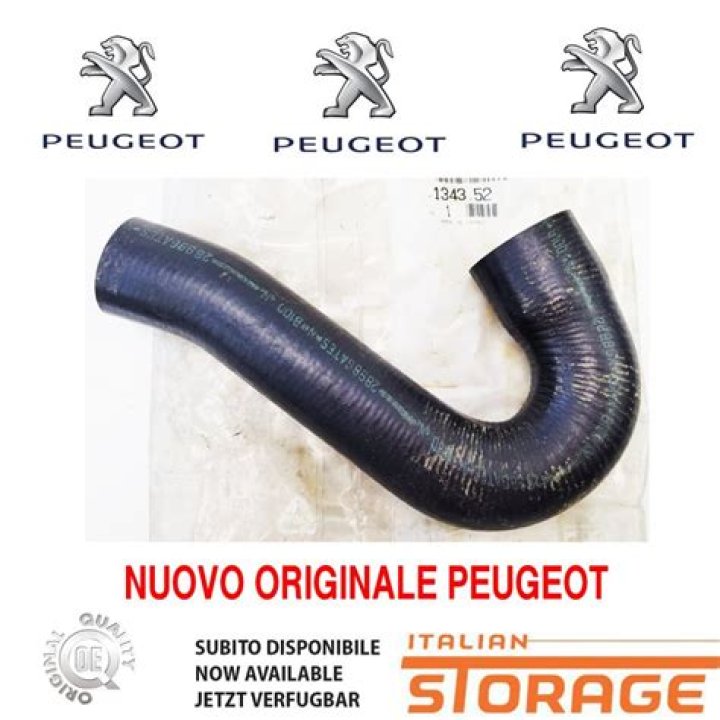 تعتبر الفأرة وحدة تخزين