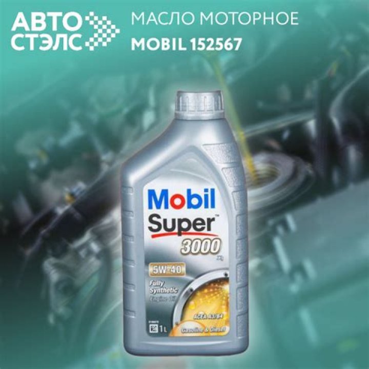 الرخويات تمتلك جهازا هضميا أحادي الفتحات؟