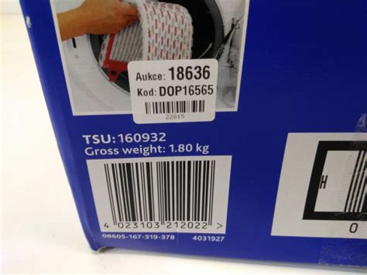 دورة حياة النباتات البذرية يتم التكاثر بواسطة