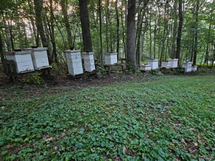 تجربتي مع بنادول نايت Panadol Night وطرق استخدامه