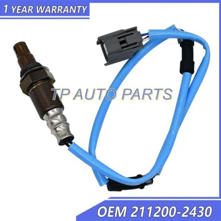 الفعل الذي ضبط آخره بالشكل الصحيح