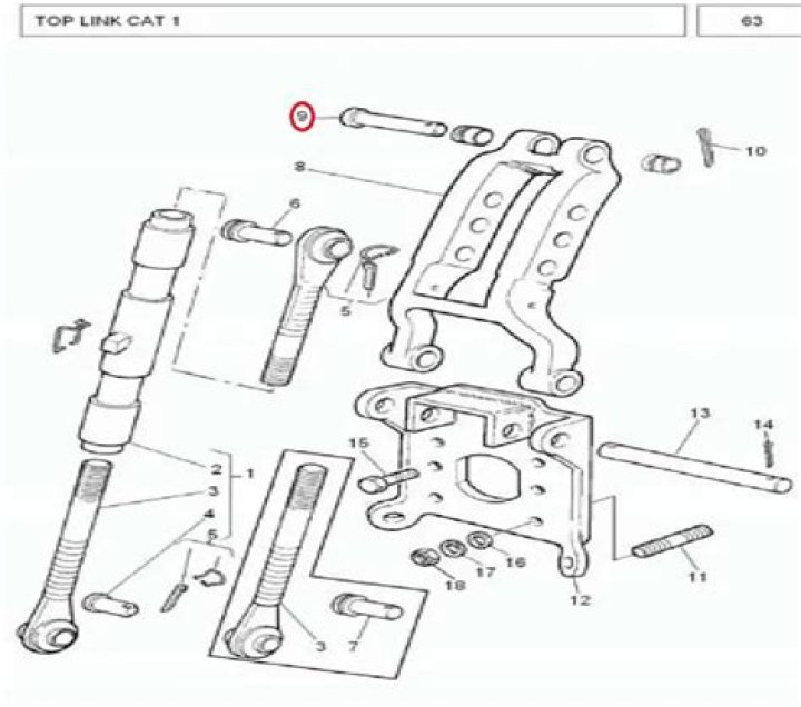 نبات بحرف النون “ن”
