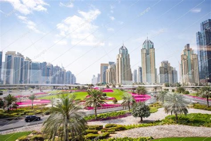 حبوب ديفيدو دواعي الاستخدام والجرعة 