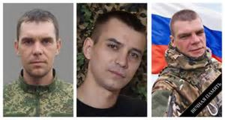 تجربتي مع الدكتور عبدالرحمن الشيخ