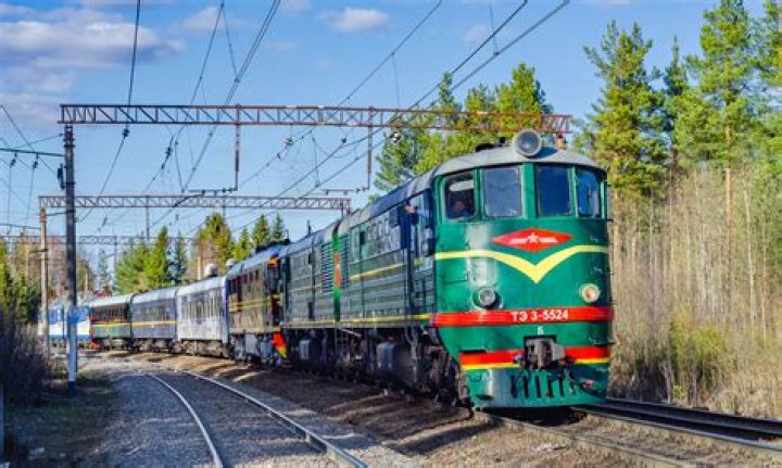 تحميل دليل استخدام نظام ديوان جامعة الملك سعود 1444