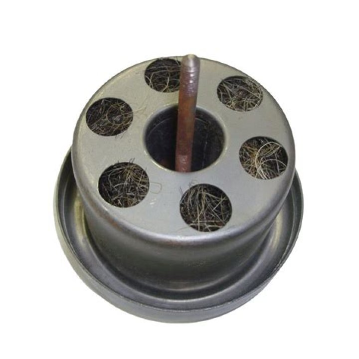 من انواع التكاثر اللاجنسي في الميكروبات ينقسم فيه المخلوق الحي الى مخلوقين حيين جديدين متماثلين ؟