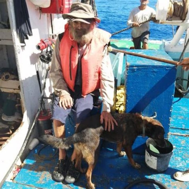 Discover The Unforgettable Journey: 3 Months At Sea With Your Canine Companion