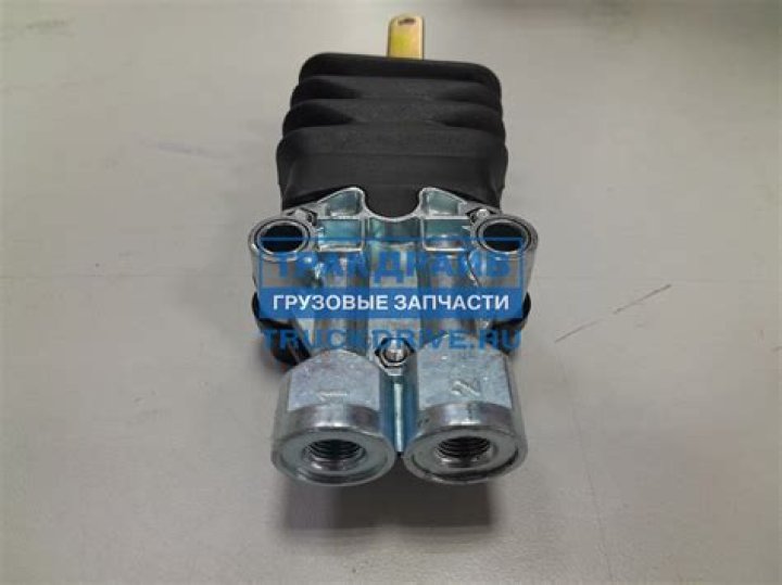 تتنوع المناطق المناخية على سطح الأرض بين