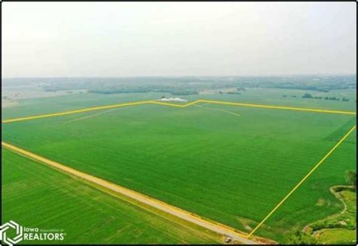 من وظائف الأوراق