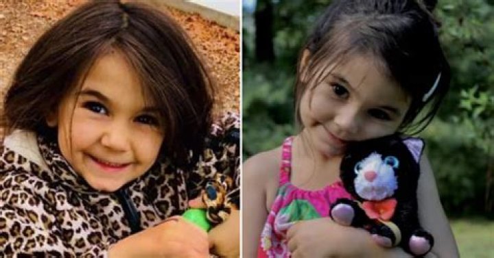 7-year-old girl dies after being mauled in vicious dog attack – rest in peace