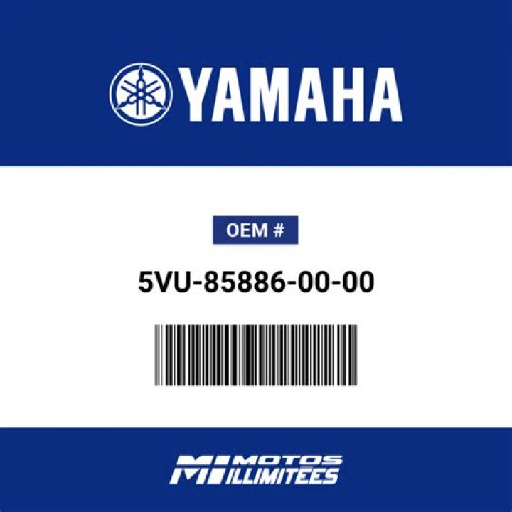 الاستجابة لداعي الغضب دون تعقل سبب لاكتساب الأناة