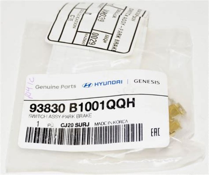 ماذا تسمى الخلايا العصبيه التي تستقبل المنبه في الجلد والعيون ؟