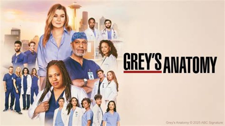Aarti Mann: A Talented Star On Grey's Anatomy