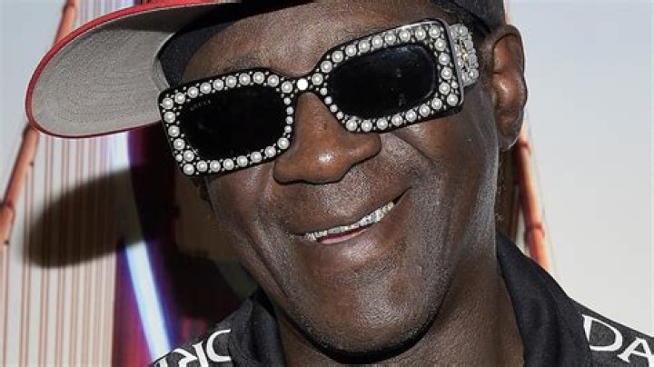 The Flavorful Era: The Age Of Flavor Flav