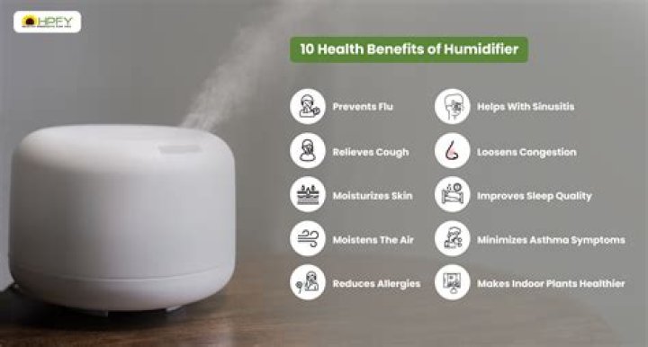 7 Best Humidifiers 2021 & Skin Benefits Of Humidifiers