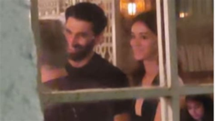 Ananya Pandey-Aditya Roy Kapoor caught up in a cute moment