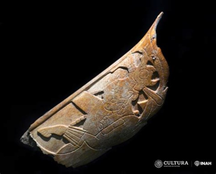 'Extraordinary' Ancient Maya Nose Ornament Made From Human Bone Discovered