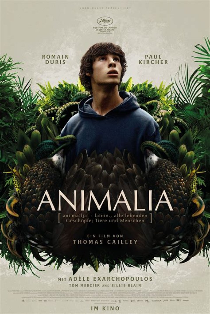 Captivating Animal Movies Set In The Heart Of Boston
