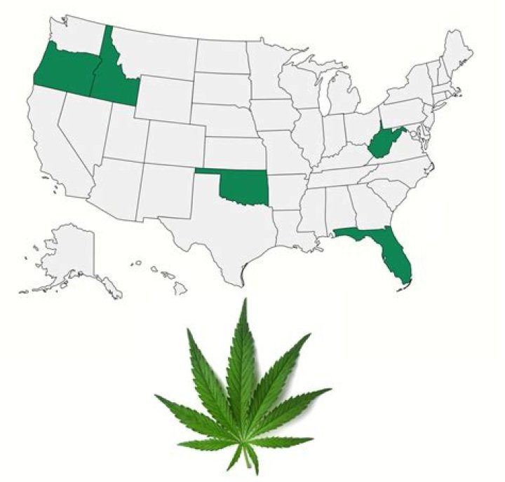 Ann Coulter Blames Marijuana for Making 'People Retarded' and 'Destroying the Country'