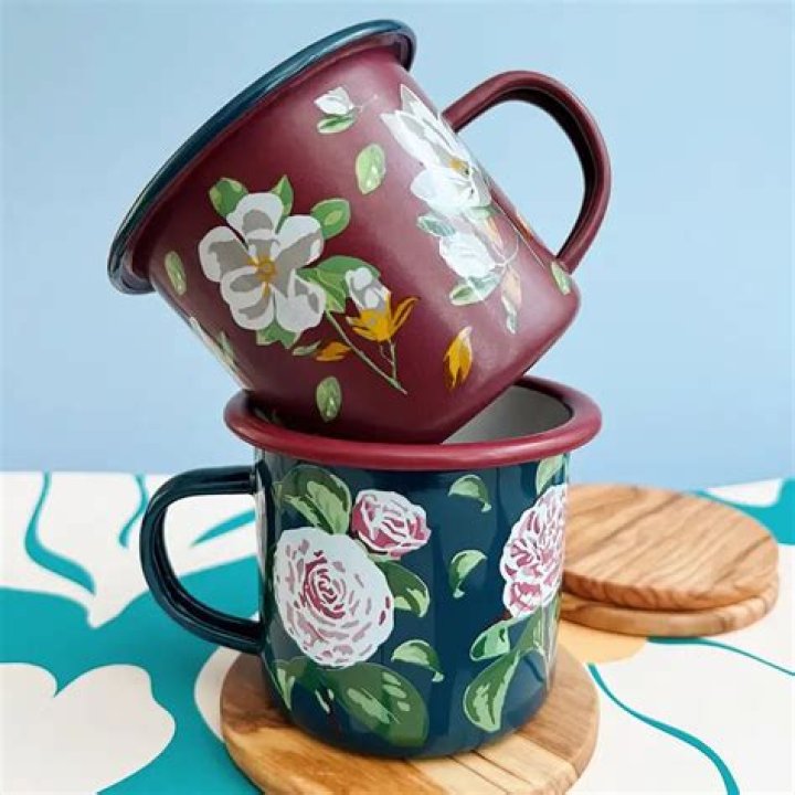 Are Enamel Mugs Safe - Seniorcare2