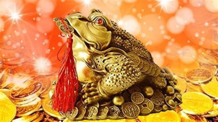 Keeping a three-legged frog in the office will bring prosperity. Here's how – India TV