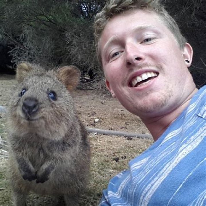 Snap The Wild Down Under: The Joy Of Australia Animal Selfies
