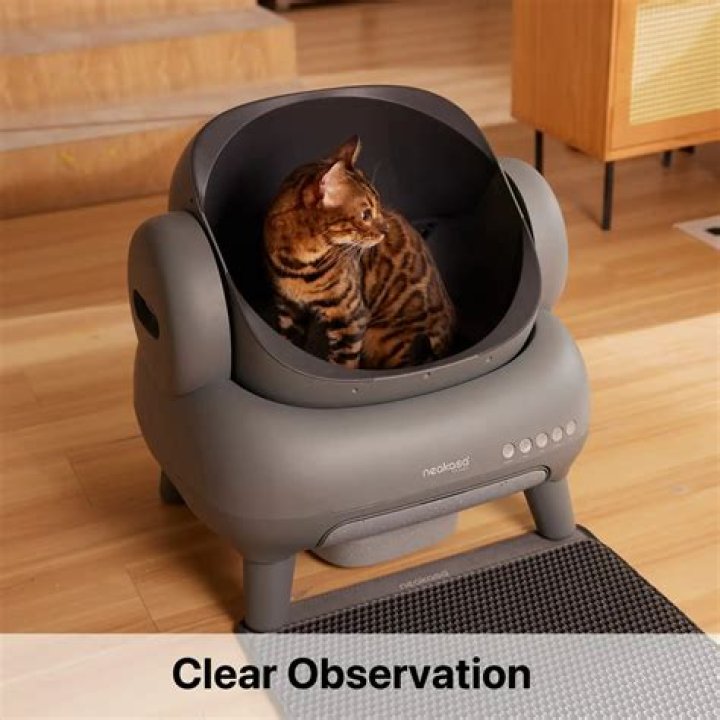 The Ultimate Guide To Automatic Litter Boxes: Revolutionizing Cat Care