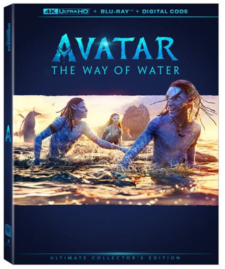 Avatar 2 leaked online; Avatar The Way of Water download link in HD available on Telegram, torrent, Movierulz – India TV