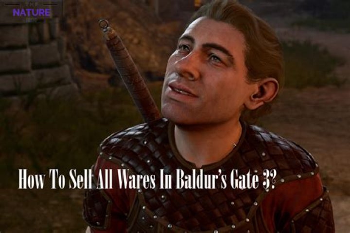 Baldur's Gate 3: How to Sell All Wares in BG3