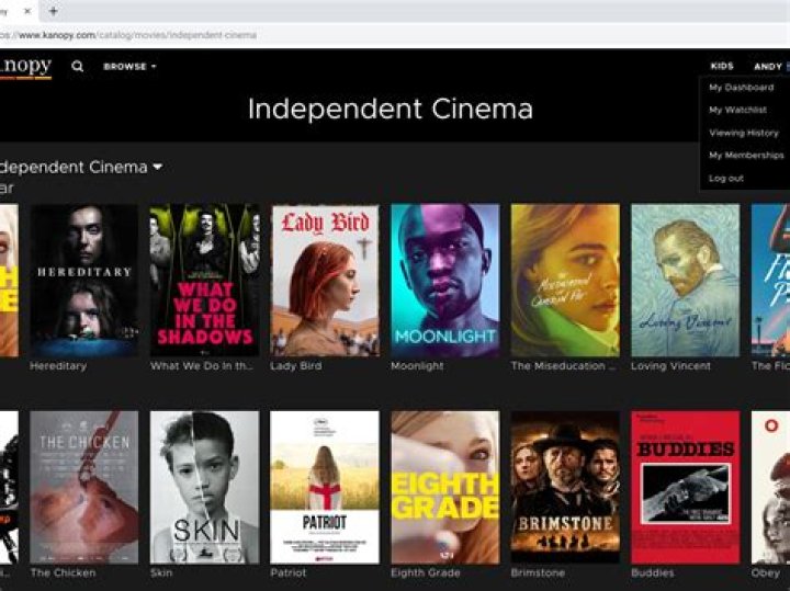 The 40 Best Movies on Kanopy