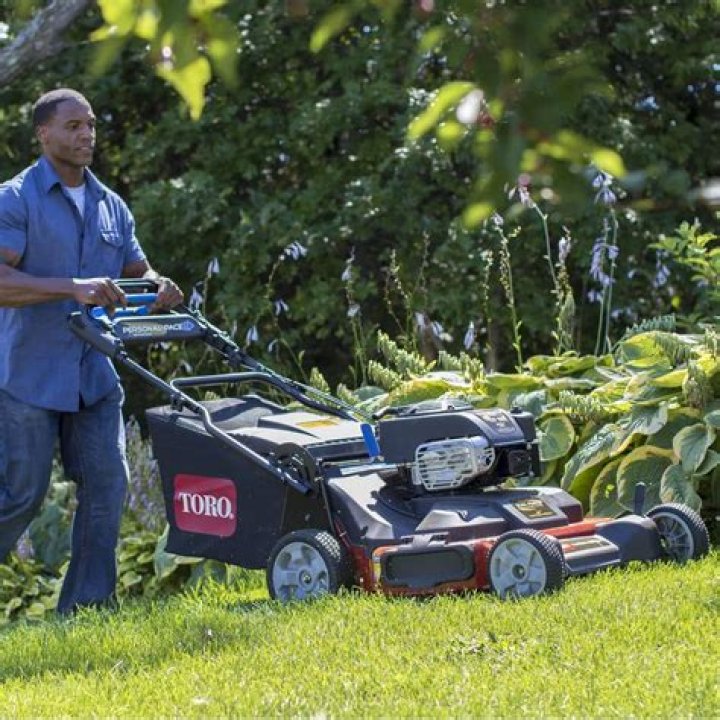 Discovering The Top Walk Behind Lawn Mowers For Your Lawn Care Needs