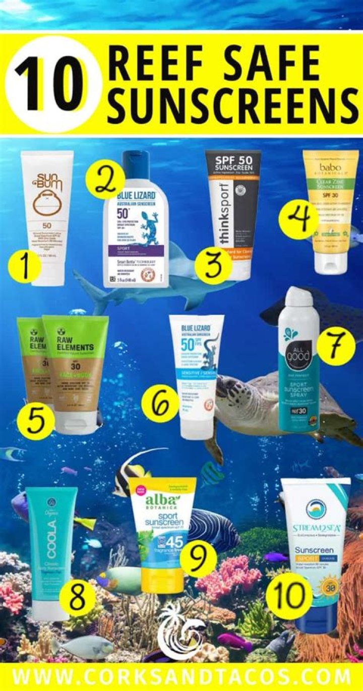 6 best reef-safe sunscreens, according to experts