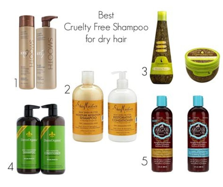 Unlocking The Secrets: The Best Shampoo For Dry Curly Hair