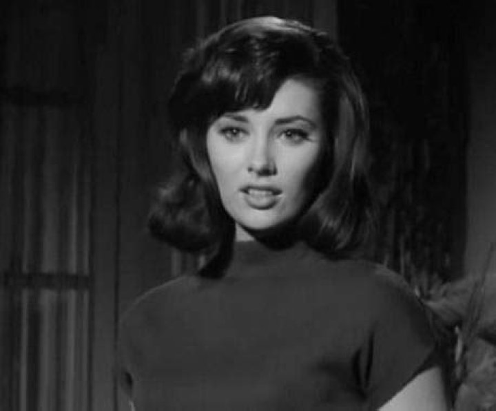 Beverly Adams Bewitched: The Enchanting Story Of A Star