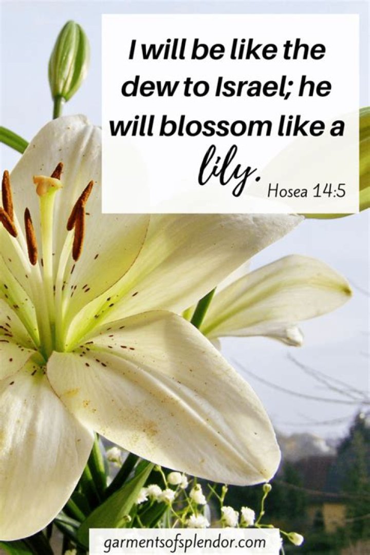 Bible Verses About Plants And Flowers: A Spiritual Reflection On Nature