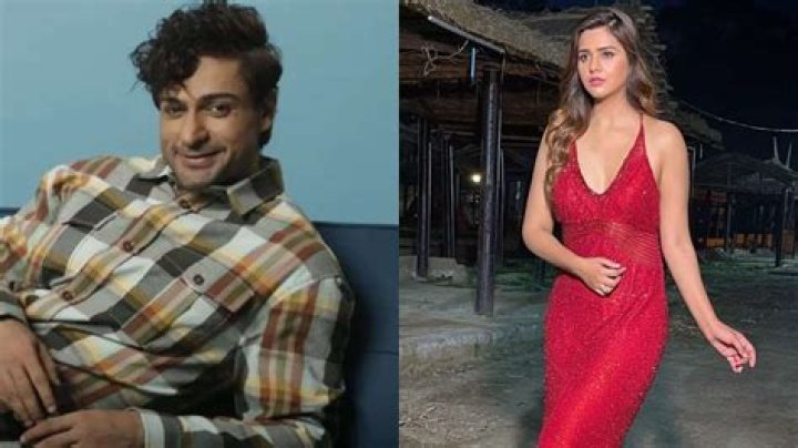Bigg Boss 16 contestant Shalin Bhanot's ex-wife Dalljiet Kaur to wed again in March, know details – India TV
