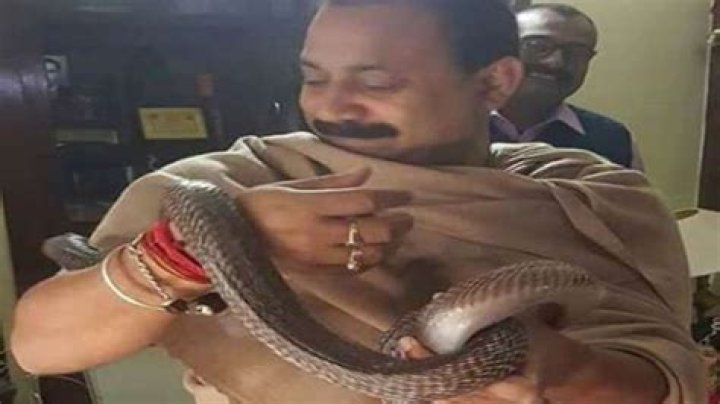 Bihar Education Minister Ashok Chaudhary wraps a snake in his hand , photos go viral – India TV