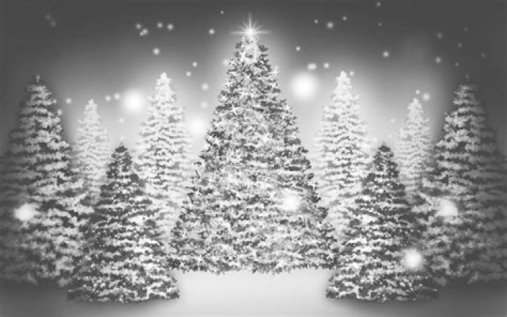Black And White Christmas Pictures You Won't Believe