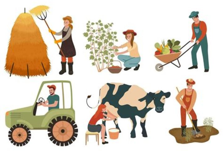 The Life And Legacy Of The Bo Farmer Occupation