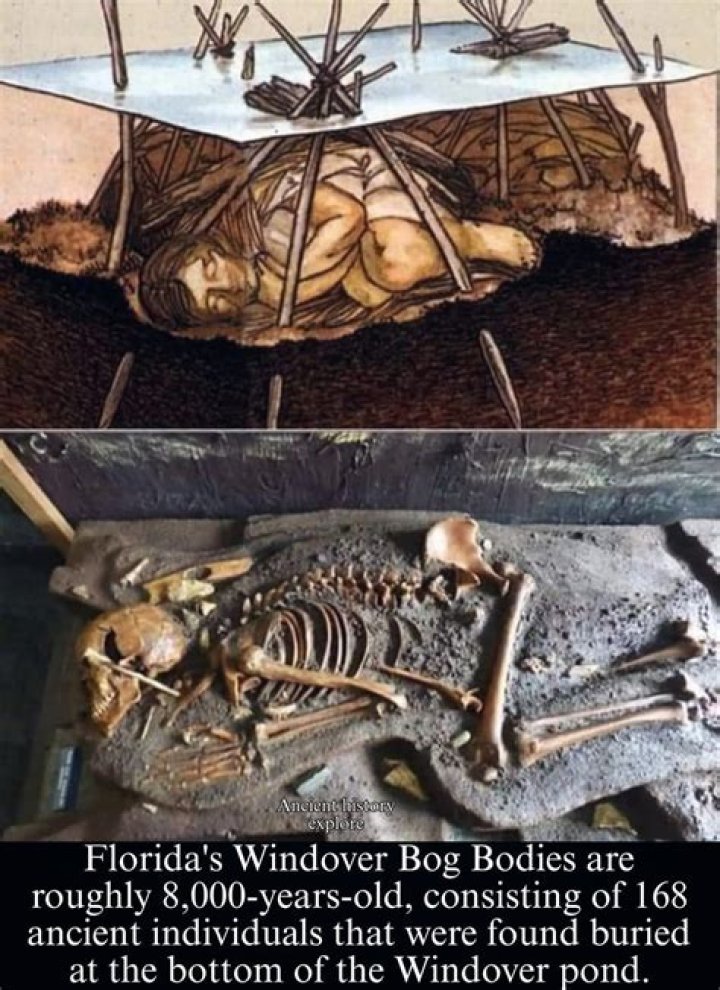 Bodies In Florida: Unraveling The Mysteries Of The Sunshine State