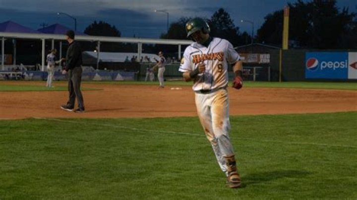 Boise Hawks add 10 newcomers, including seasoned players, to 2024 roster