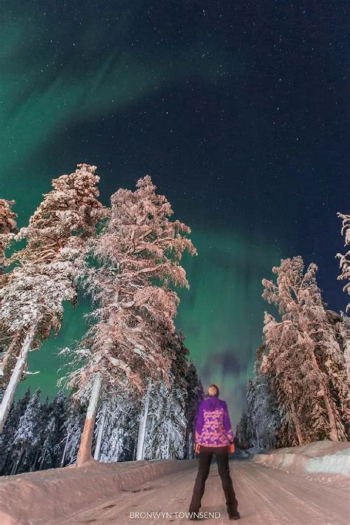 Bronwin Aurora: The Rising Star In The Digital World