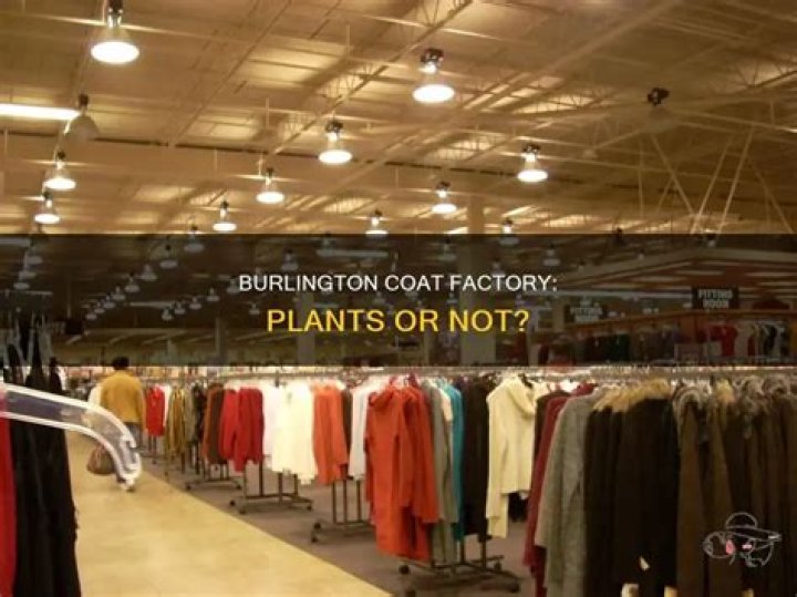 Burlington Coat Factory Exchange Policy Explained