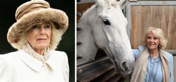 Queen Consort Camilla says she’s “too old” to go horse riding anymore