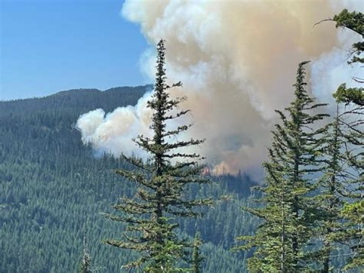 Forest fire north of McCall prompts campground evacuations, road closures