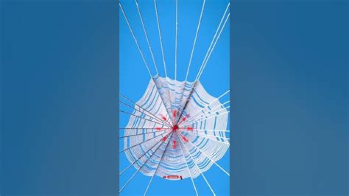 Can A Spider Web Stop A Bullet